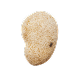 Ambroxan